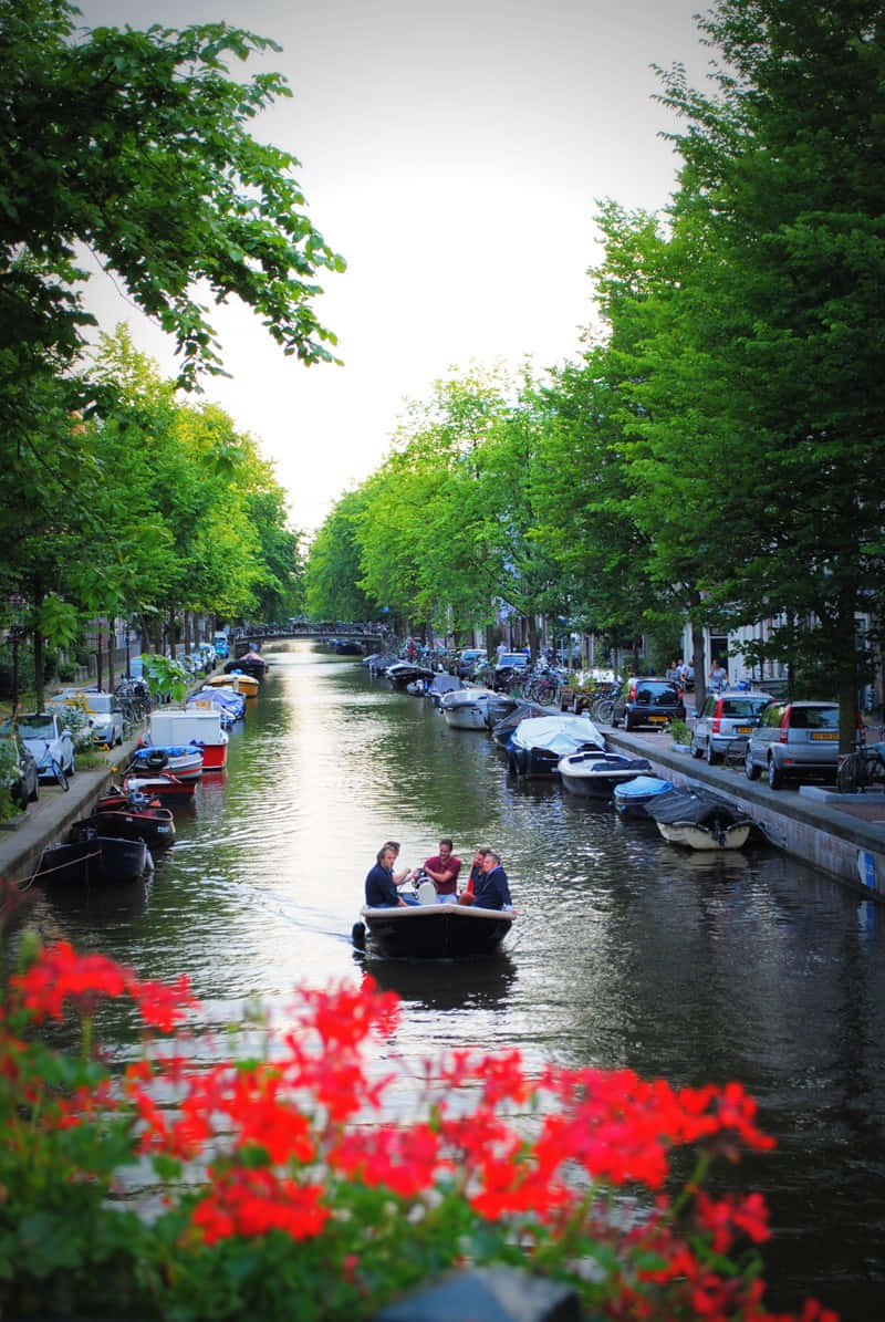 Smell the Floral Aroma of Amsterdam in Spring Wallpaper