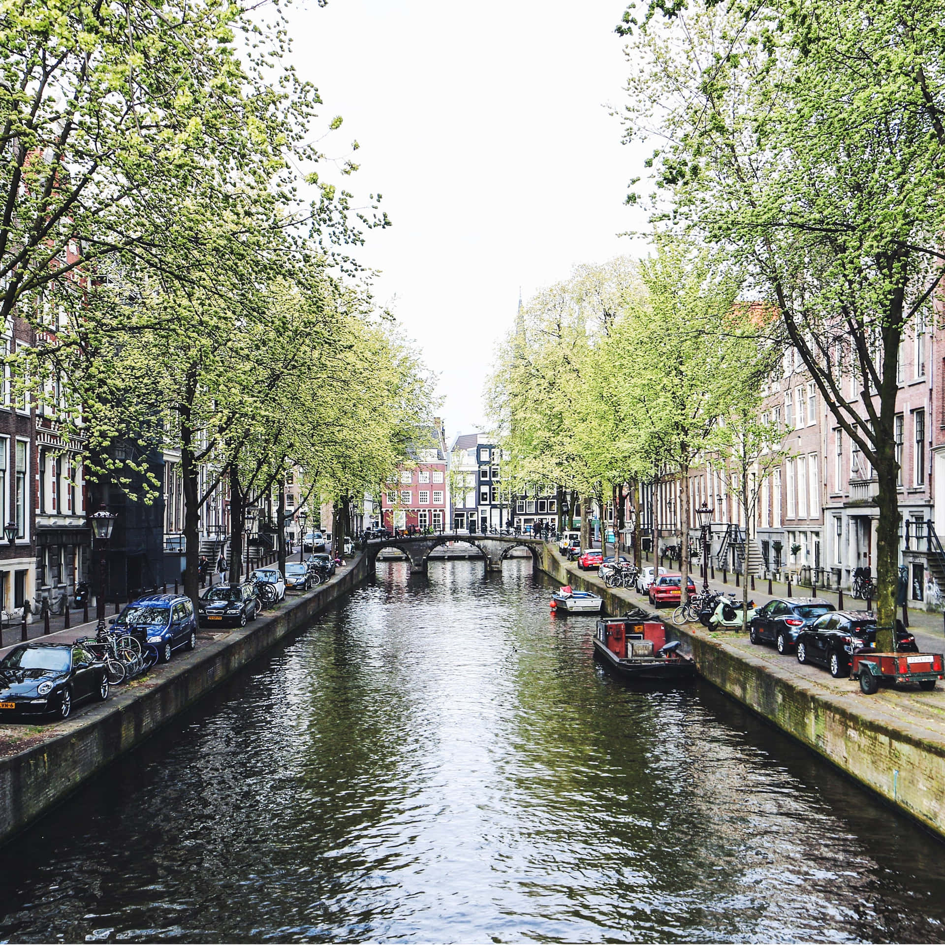 Strolling along the canals of Amsterdam in the spring Wallpaper