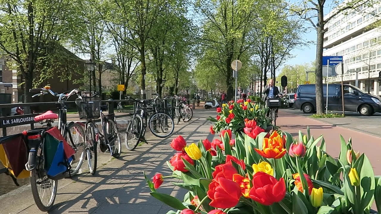 Enjoy a breezy day in the beautiful city of Amsterdam during spring Wallpaper