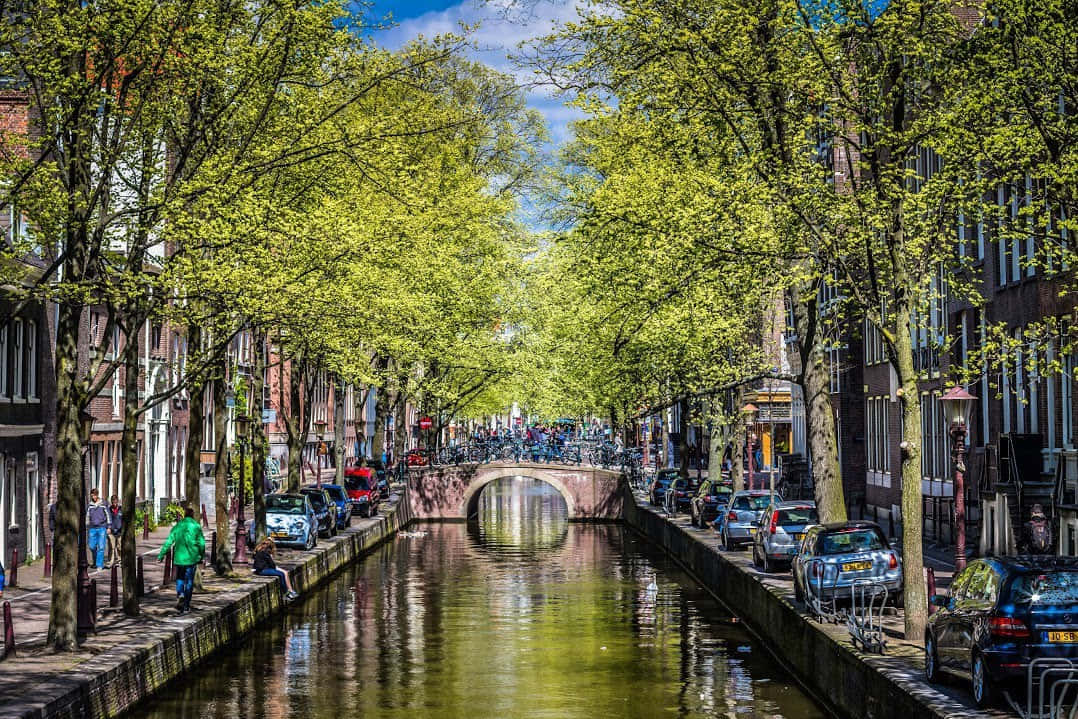 Welcome to the beautiful Amsterdam in springtime Wallpaper