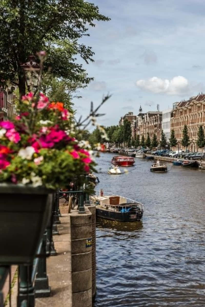 Tourists explore Amsterdam in the Spring Wallpaper