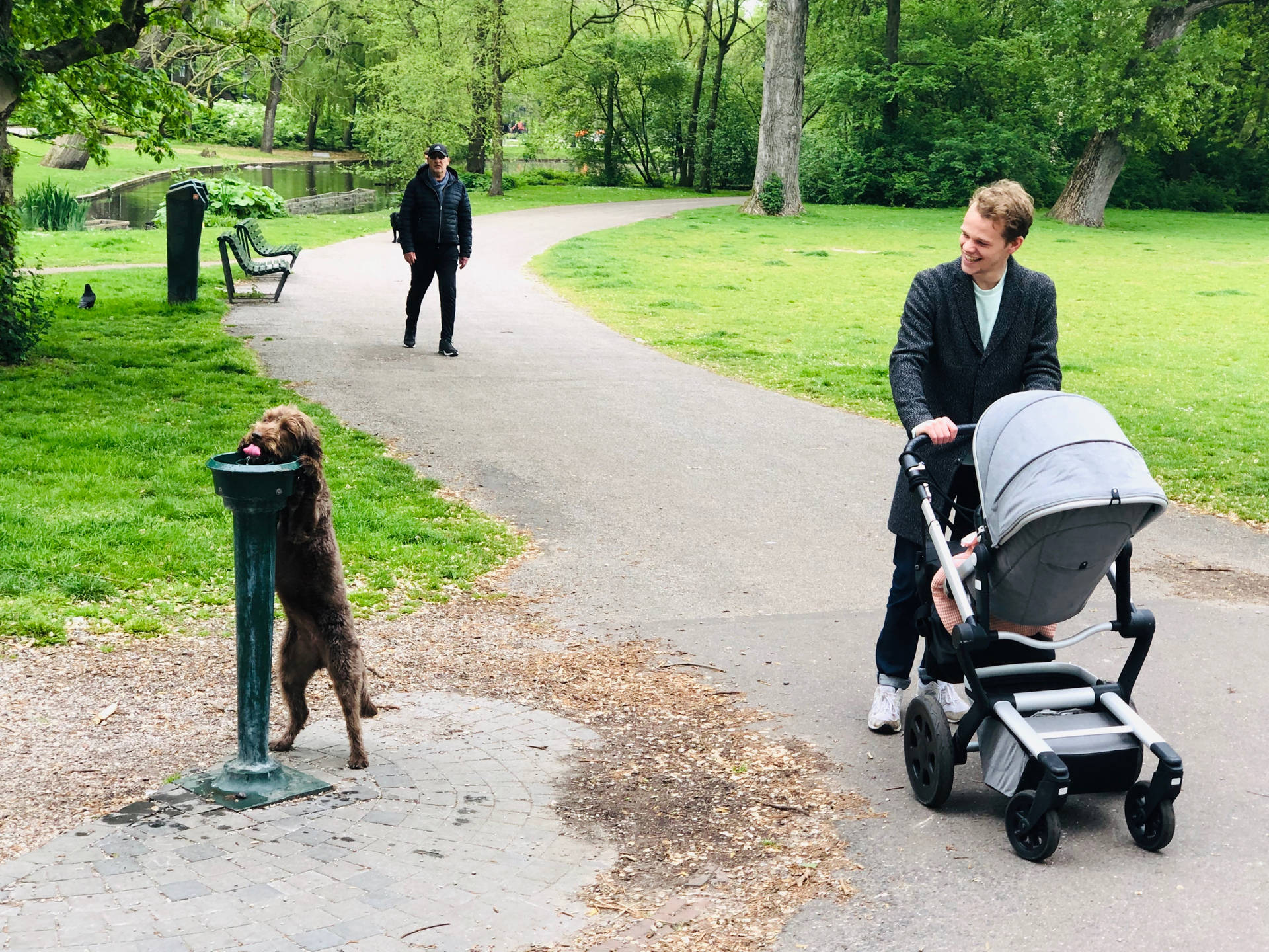 Amsterdam Vondel Park Dog Picture