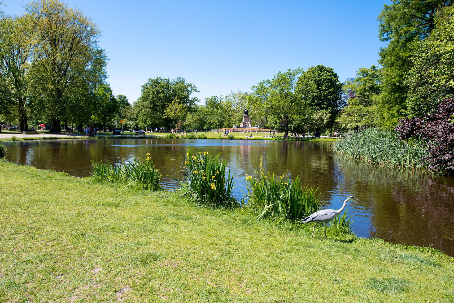 Amsterdam Vondel Park Pond Background