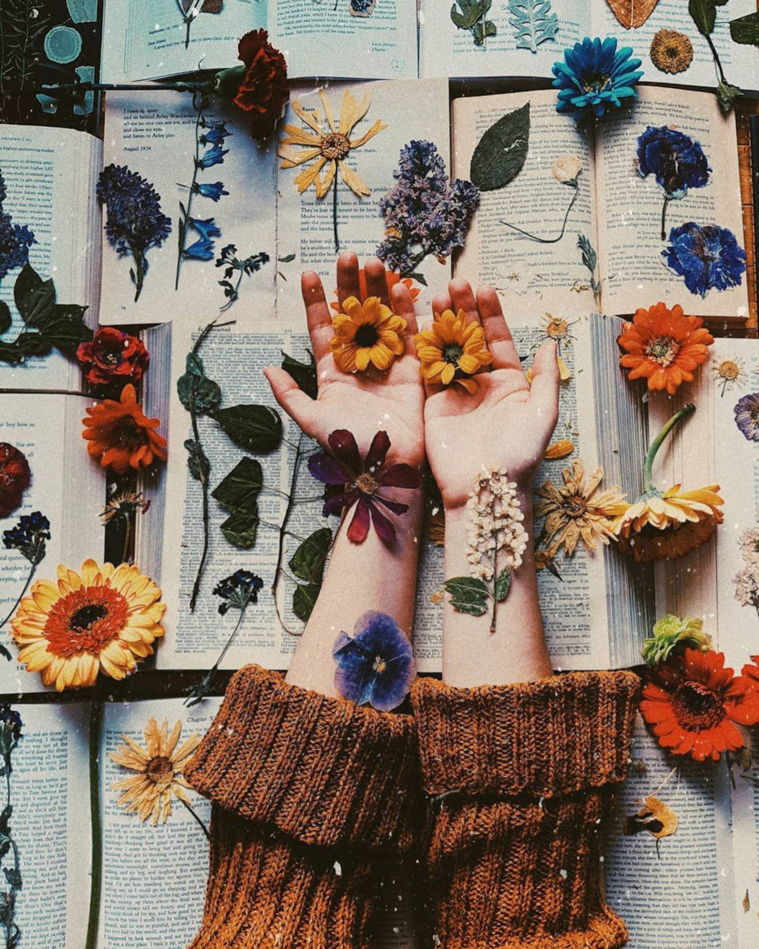 Amy Nelson Flowers Art Wallpaper
