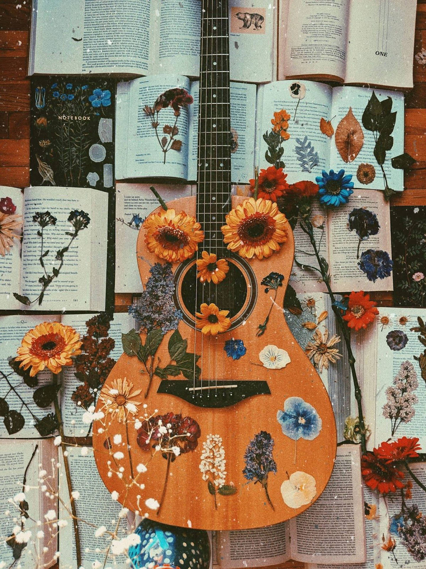 Amy Nelson Guitar Wallpaper