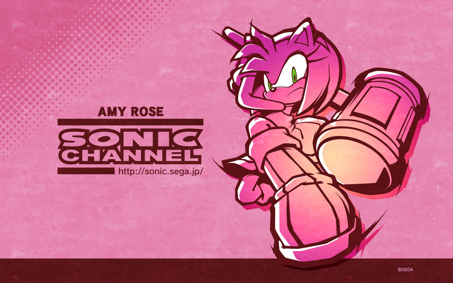 Amy Rose Pink Æstetik Wallpaper