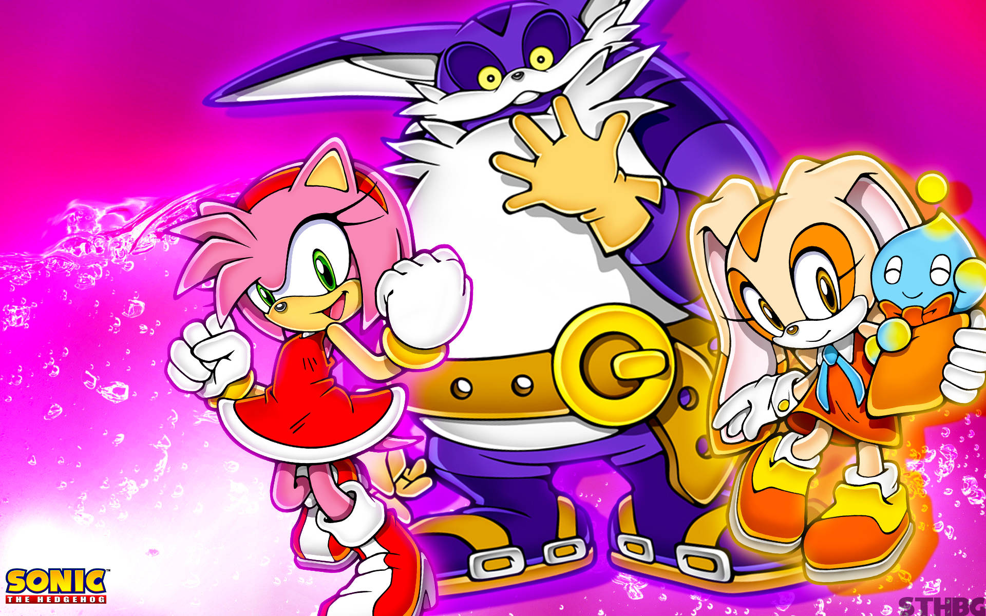 Amy Rose Sonic Hero Friends