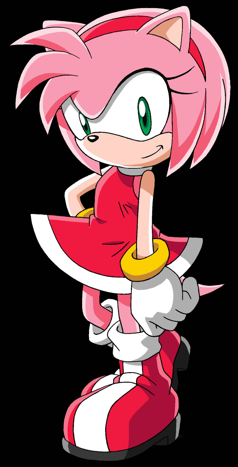 Amy Rose Sonic X Character Wallpaper