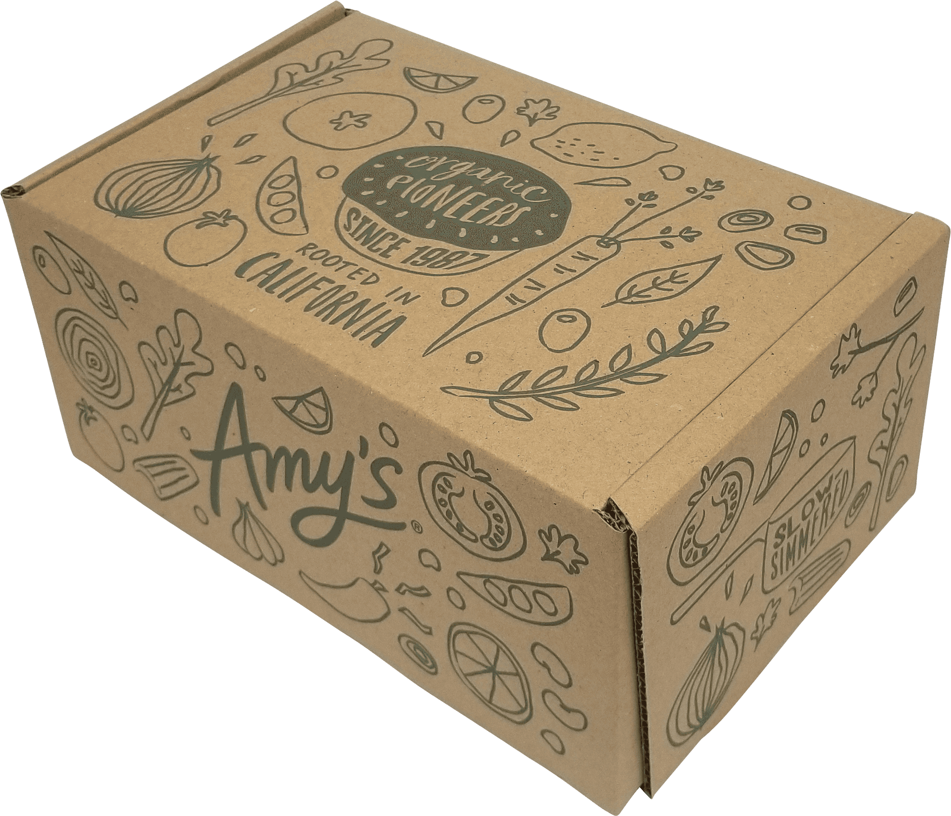 Amys Organic Pioneers Custom Printed Shipping Box PNG