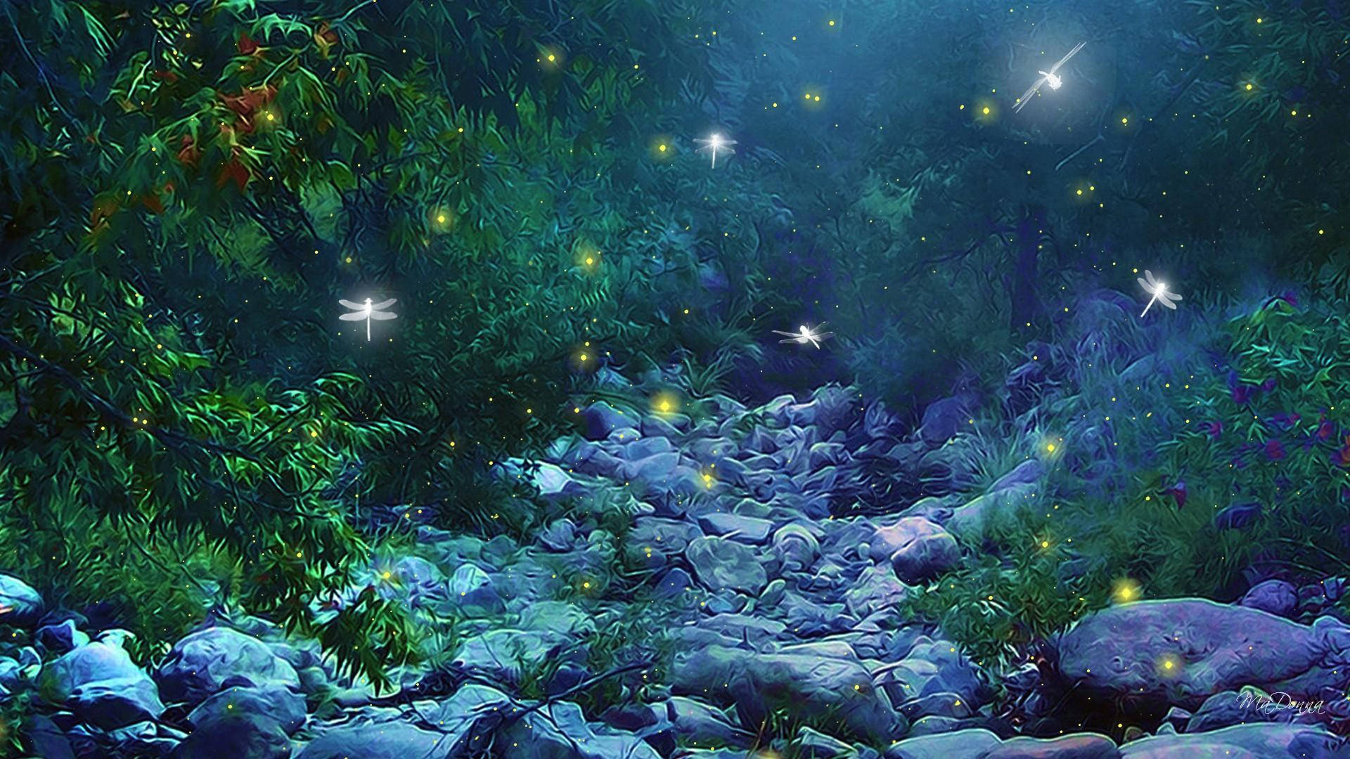 An Enchanted Forest Rocky Path Wallpaper