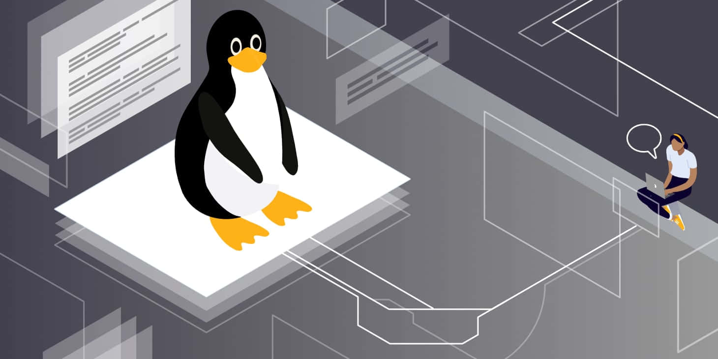 An In-depth Look At Linux's Interface