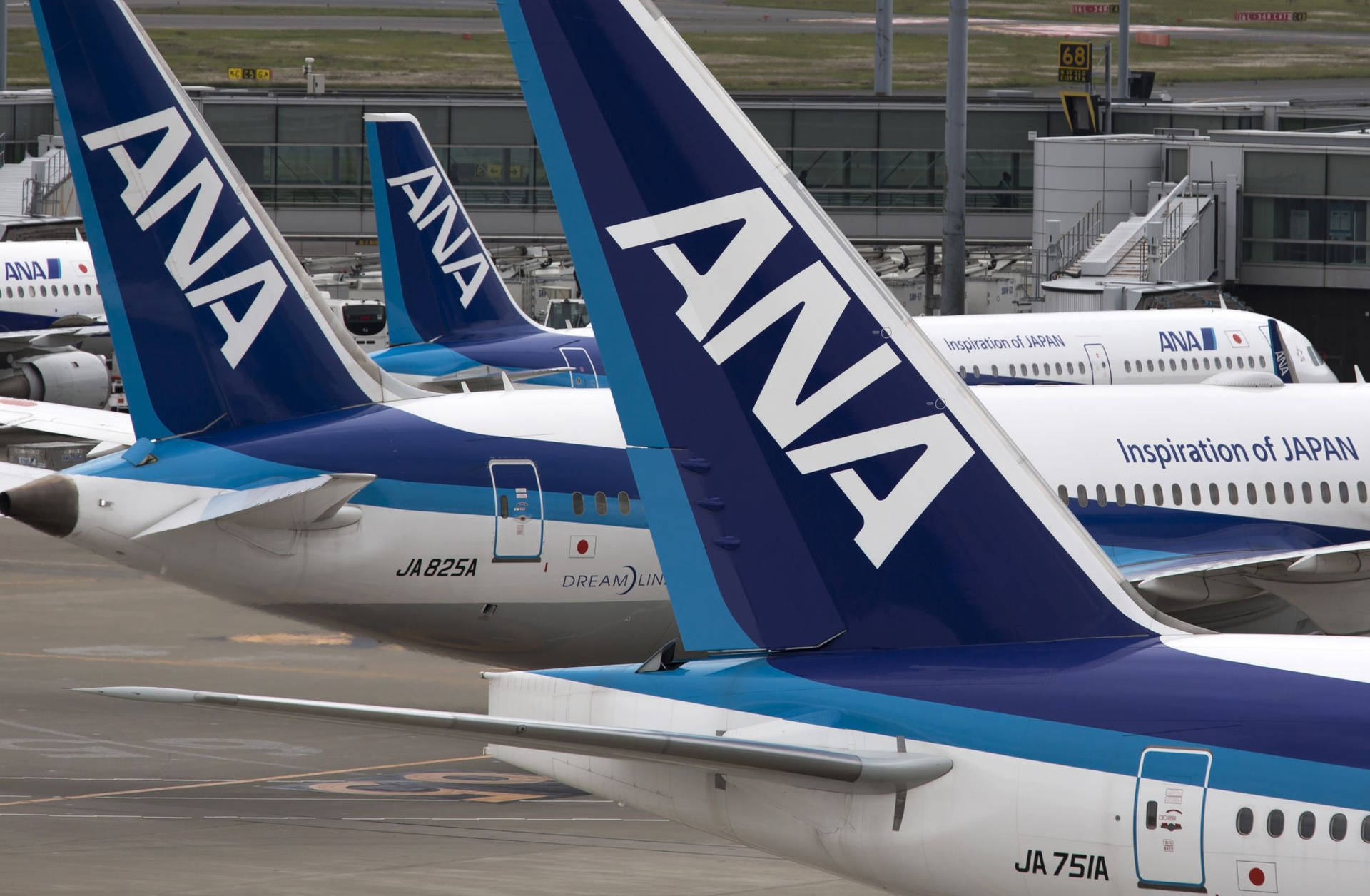 Ana Aircraft Tails Picture