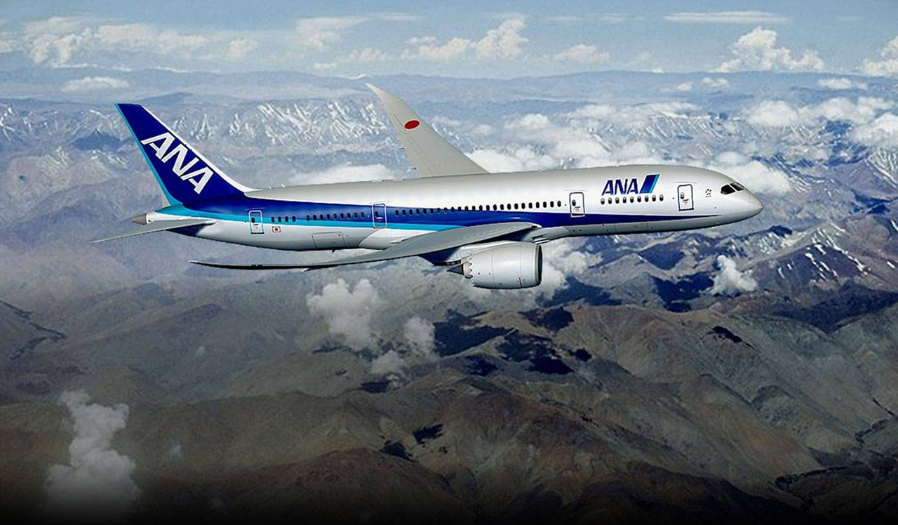 ANA Plane Above The Mountains Wallpaper