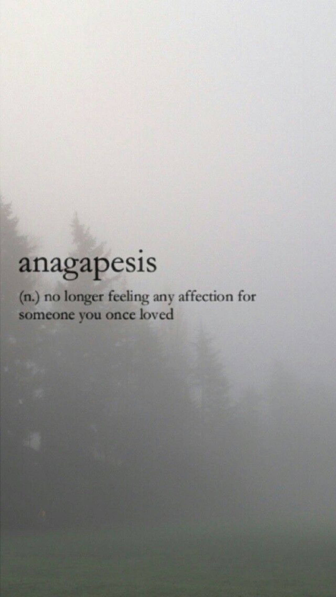 Anagapesis Aesthetic Word Wallpaper