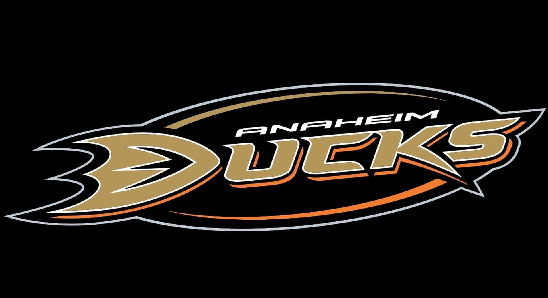 Seanaheim Ducks Flyga