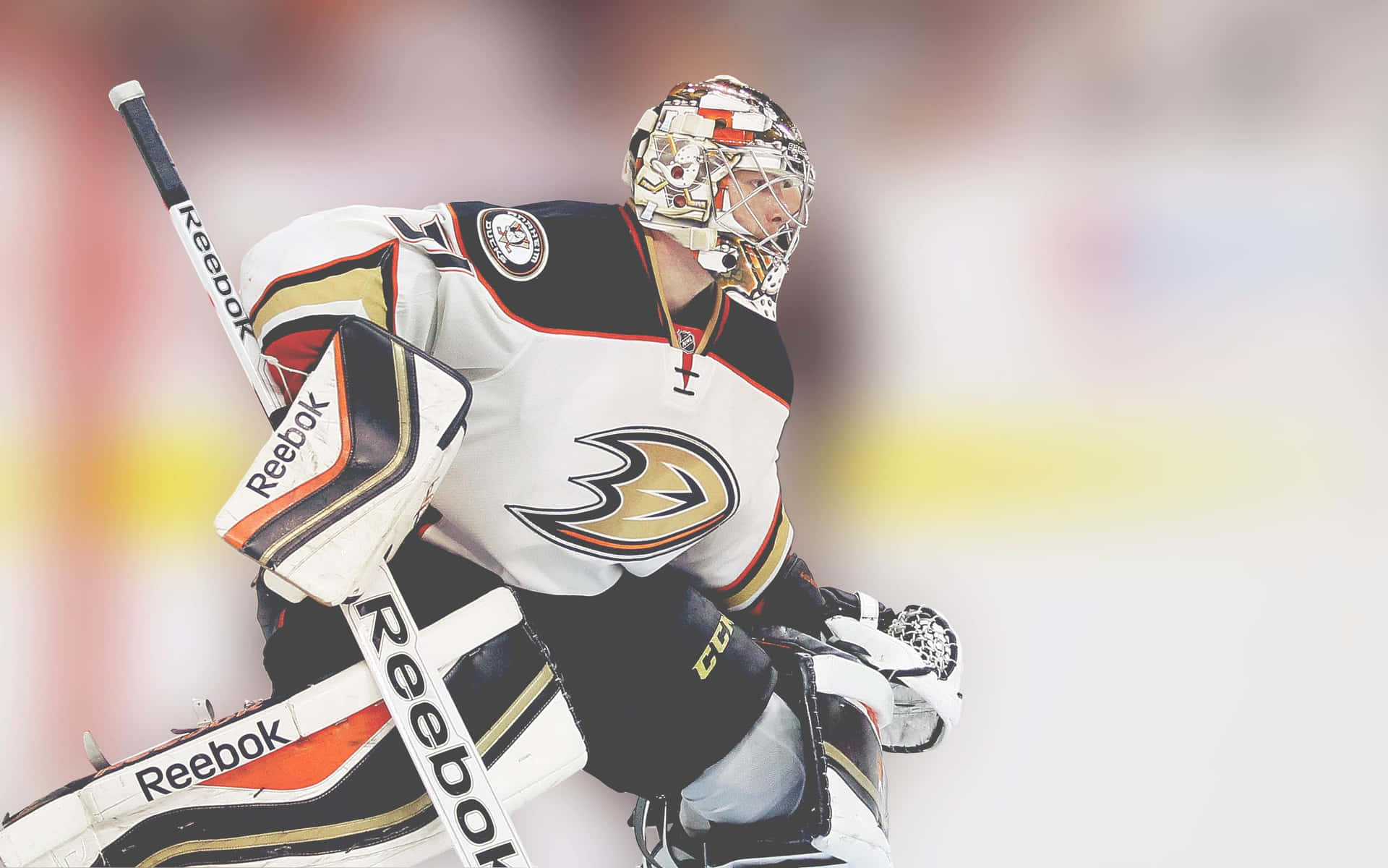 Anaheim ducks make waves in NHL