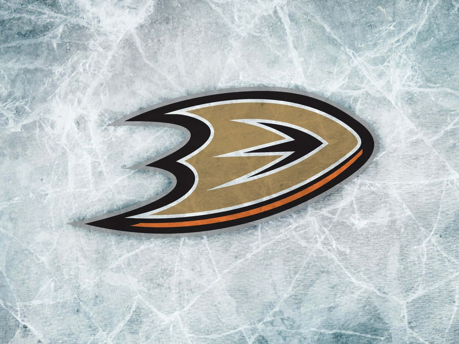 Anaheimducks Fly For Home Sejre