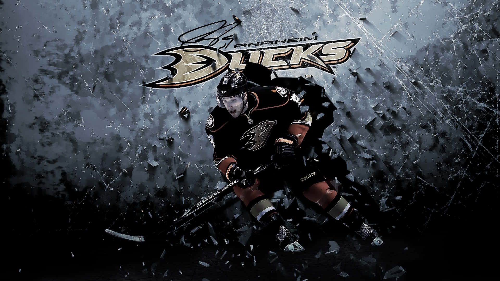 Skinsom Lynet: Anaheim Ducks Hockey.