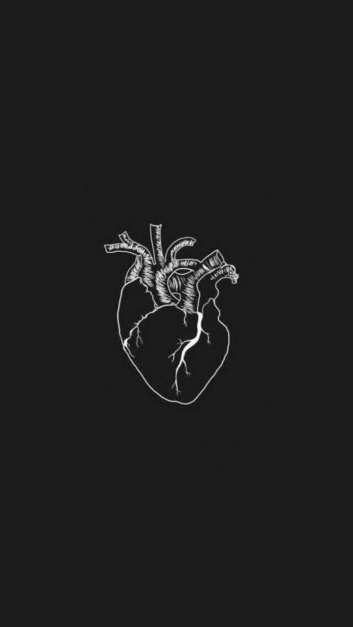 Anatomical Black And White Heart Wallpaper