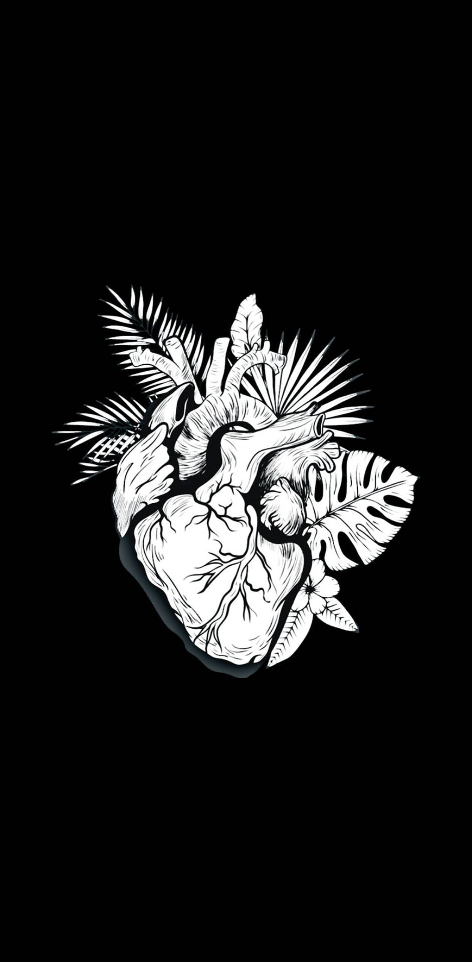 Anatomical Black And White Heart With Plants Wallpaper