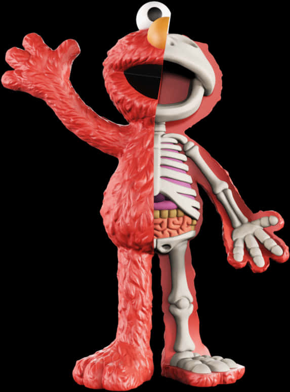 Anatomical Elmo Revealed PNG