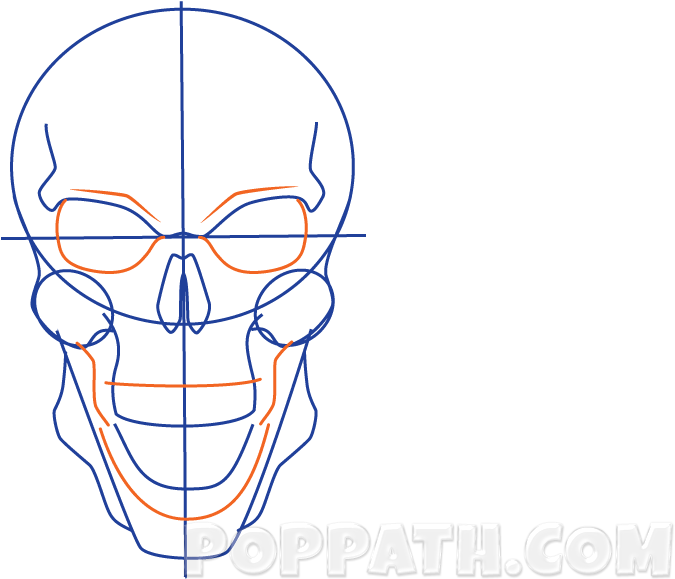 Anatomical Skull Drawing Guide PNG