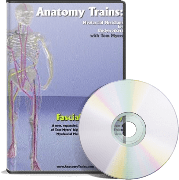 Anatomy Trains D V D Educational Cover PNG