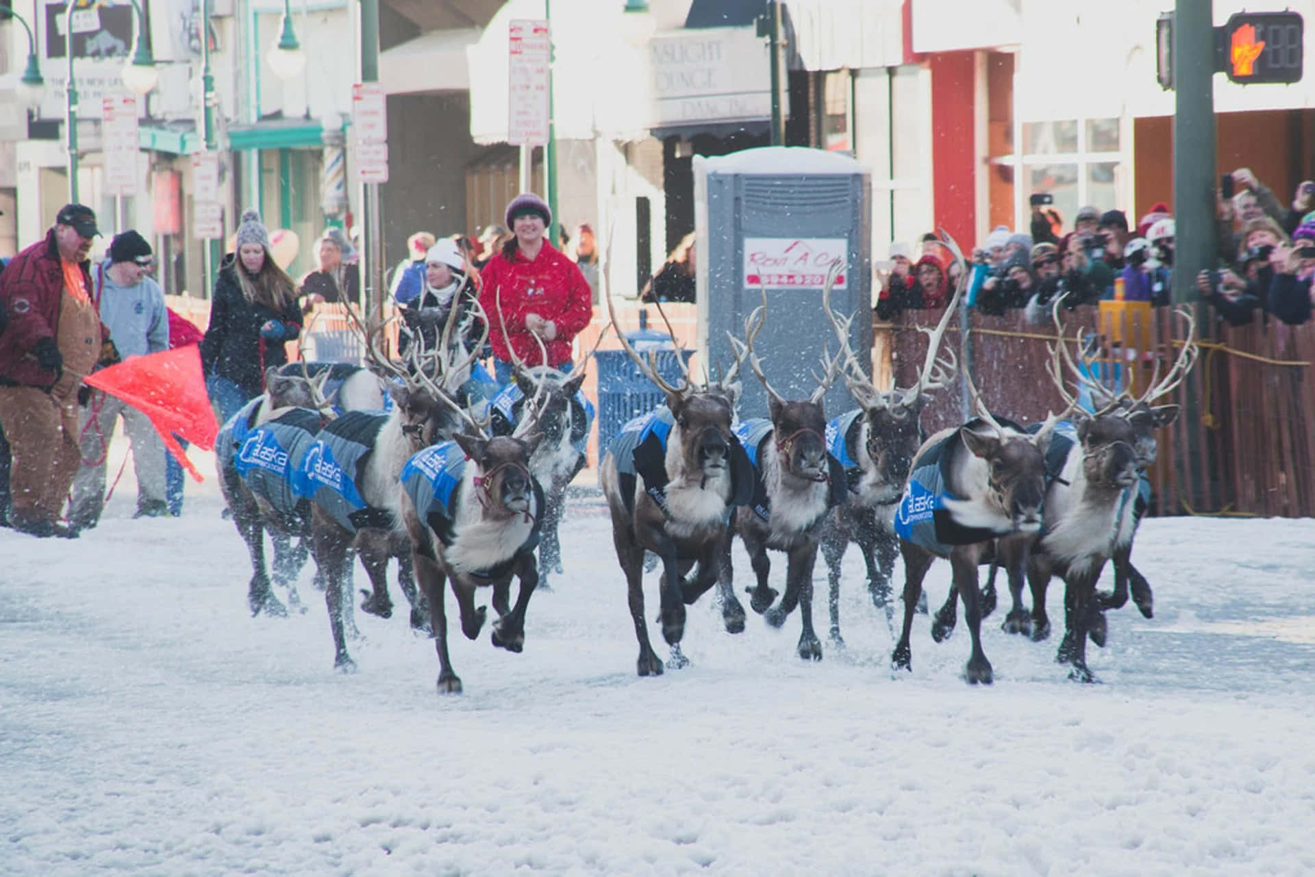 Anchorage Alaska Reindeer Parade Picture