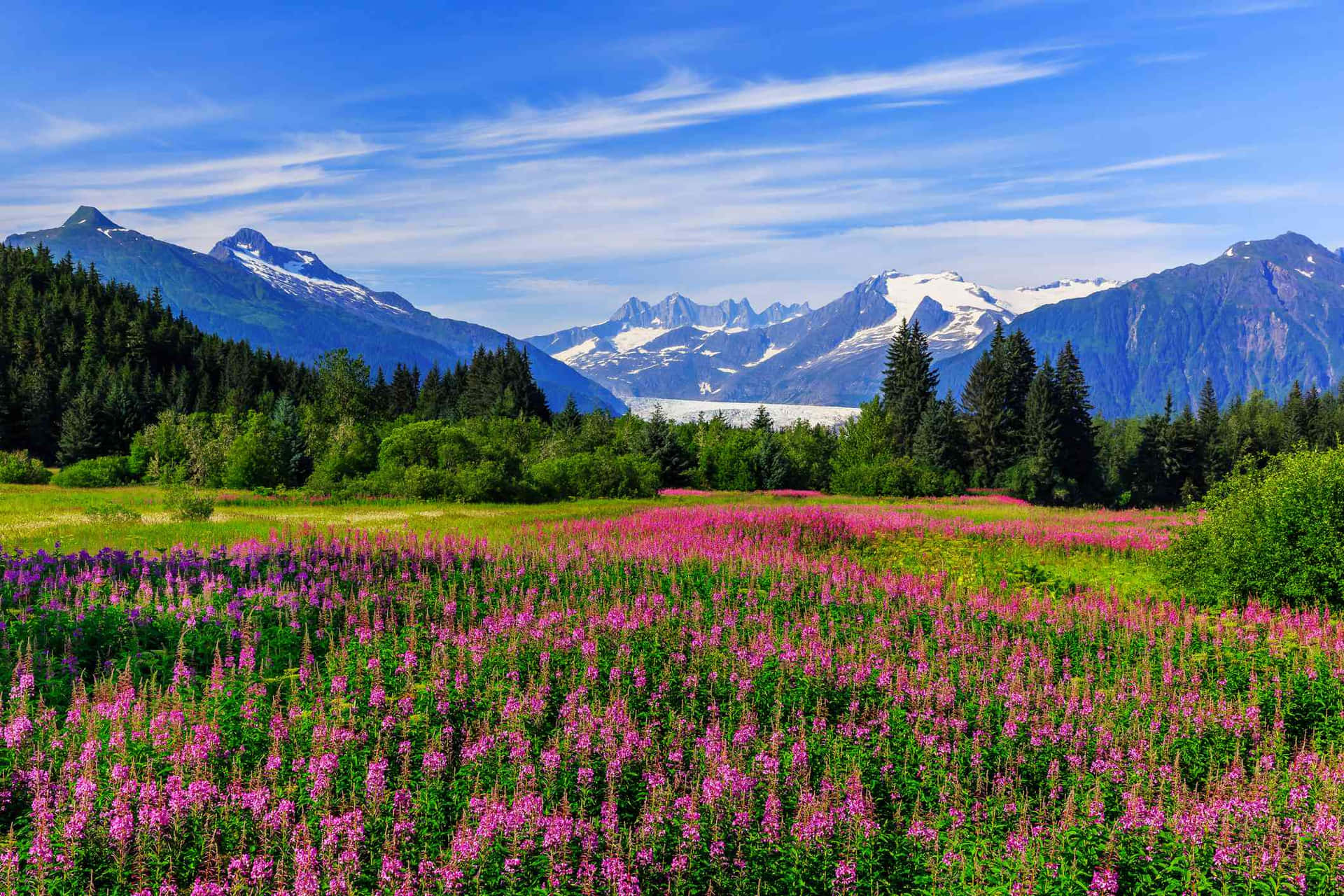 Immaginemattutina Di Paesaggio Naturale Ad Anchorage, Alaska
