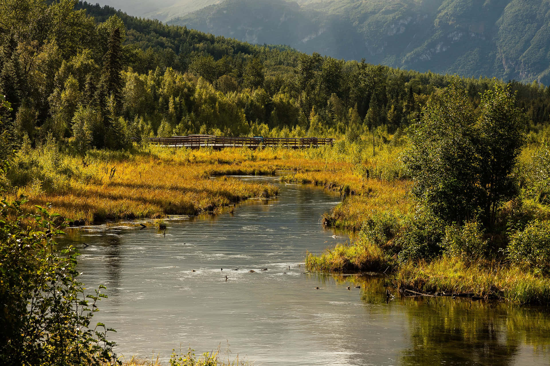 Immaginedi Anchorage, Alaska, Con Un Fiume Che Scorre Attraverso La Foresta.