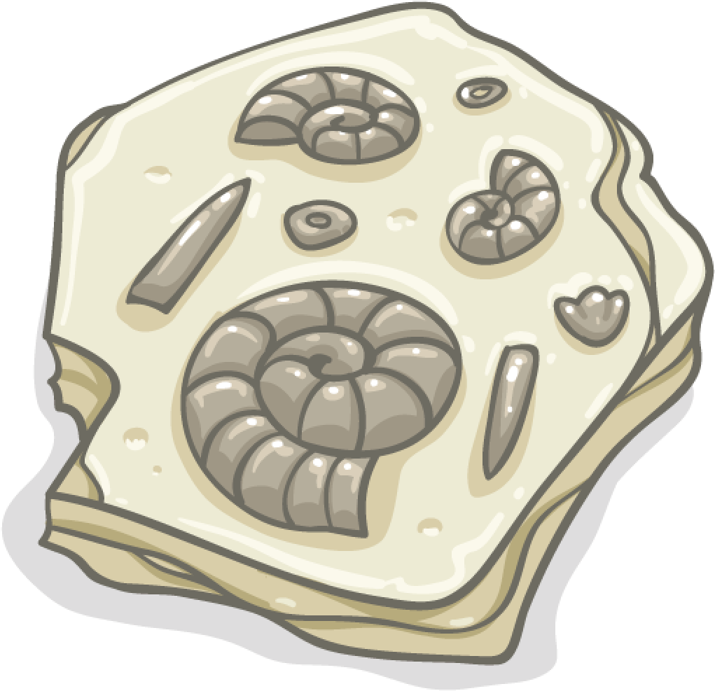 Ancient Ammonite Fossil Illustration PNG