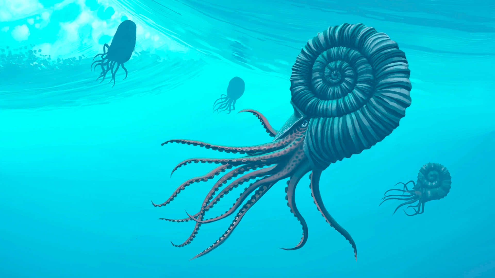 Ancient Ammonites Underwater Scene Wallpaper