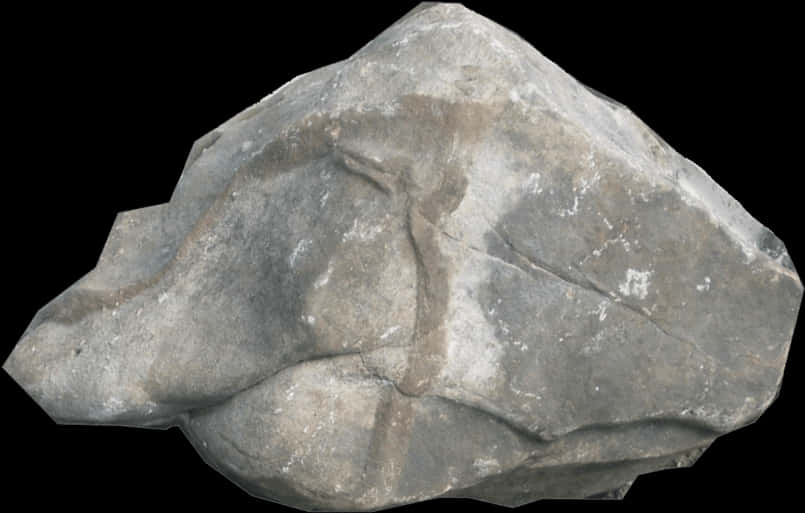Ancient Fossilized Leaf Impression Rock PNG