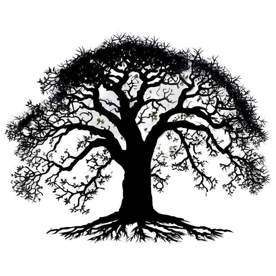 Ancient Oak Silhouette Png 06262024 PNG