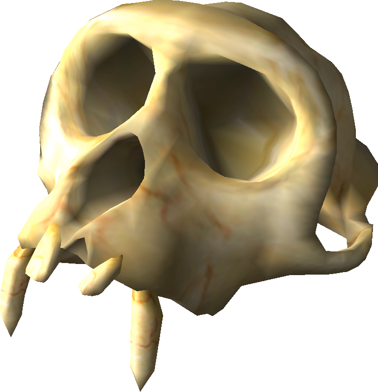 Ancient Skull Fossil3 D Render PNG