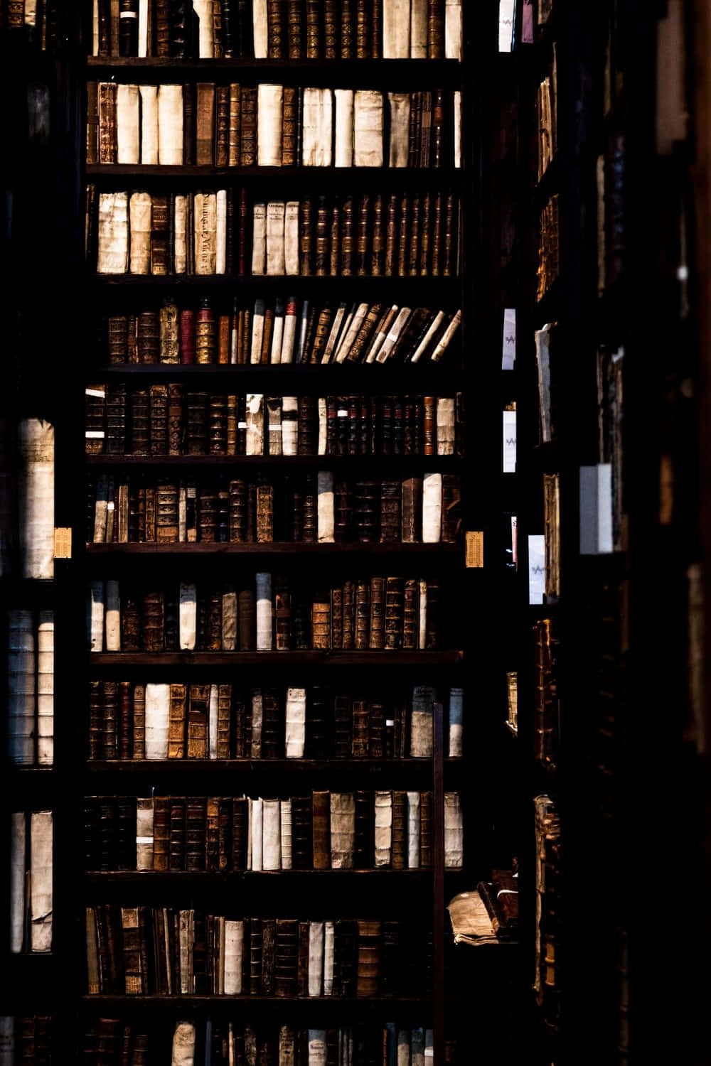 Ancient_ Tomes_in_ Shadowy_ Library_ Shelves Wallpaper