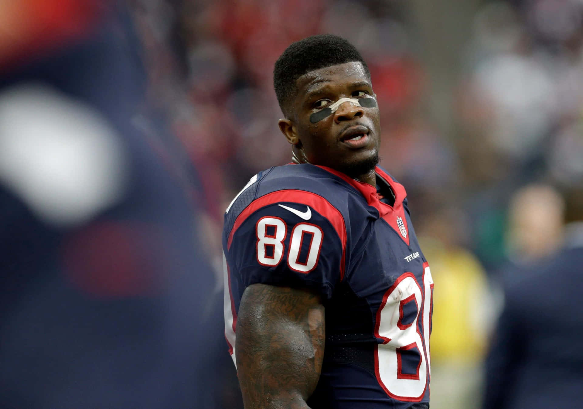 Andre Johnson Houston Texans Game Day Wallpaper