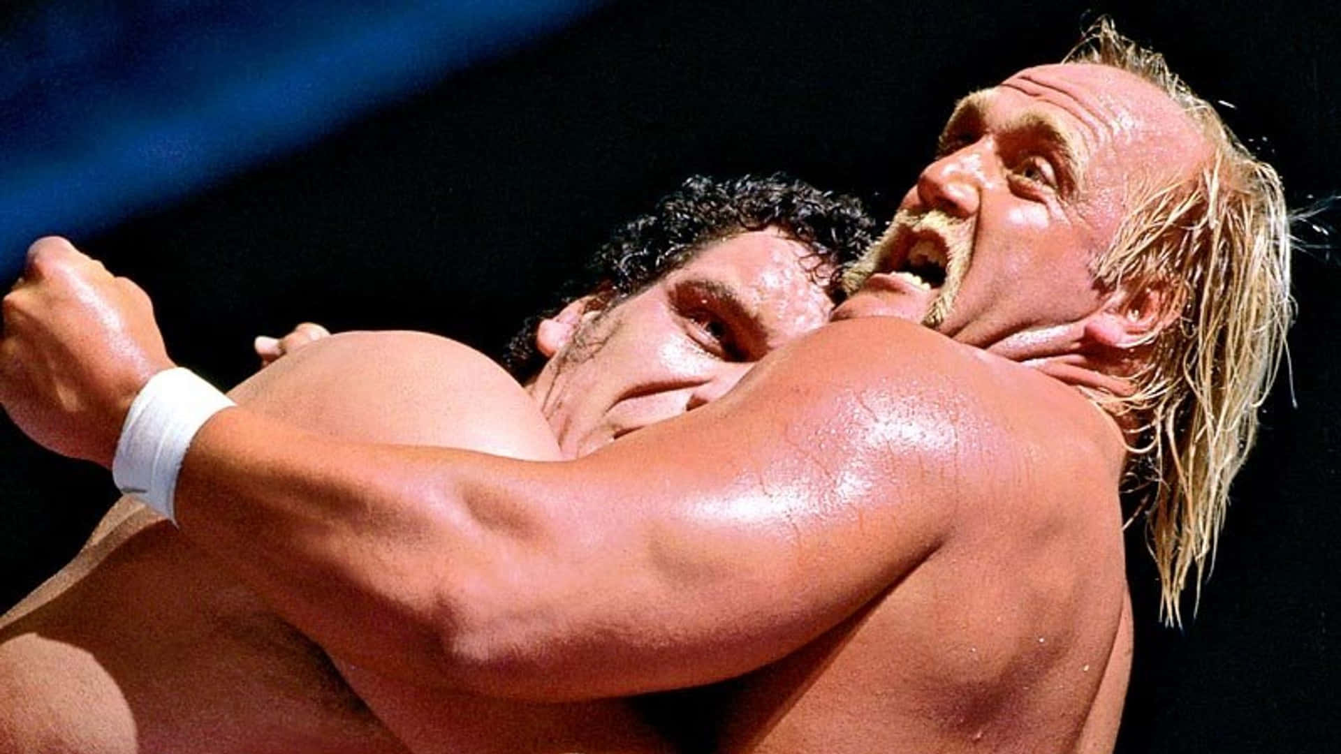 Andre The Giant And Hulk Hogan Wallpaper