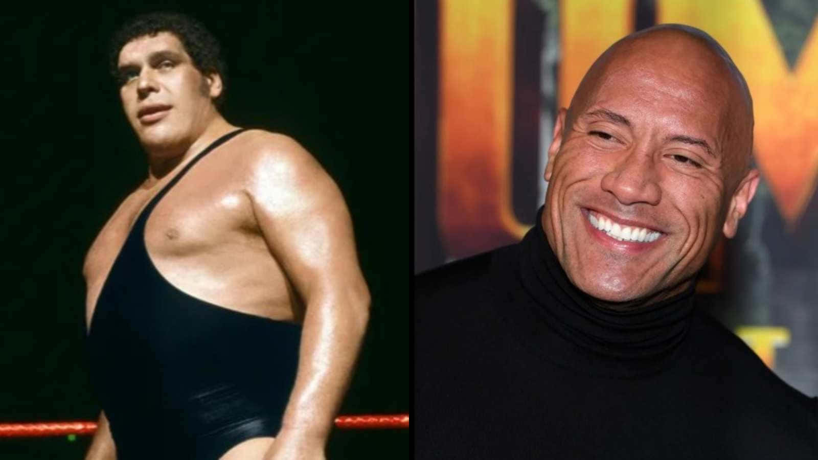 Andre The Giant And The Rock Wallpaper