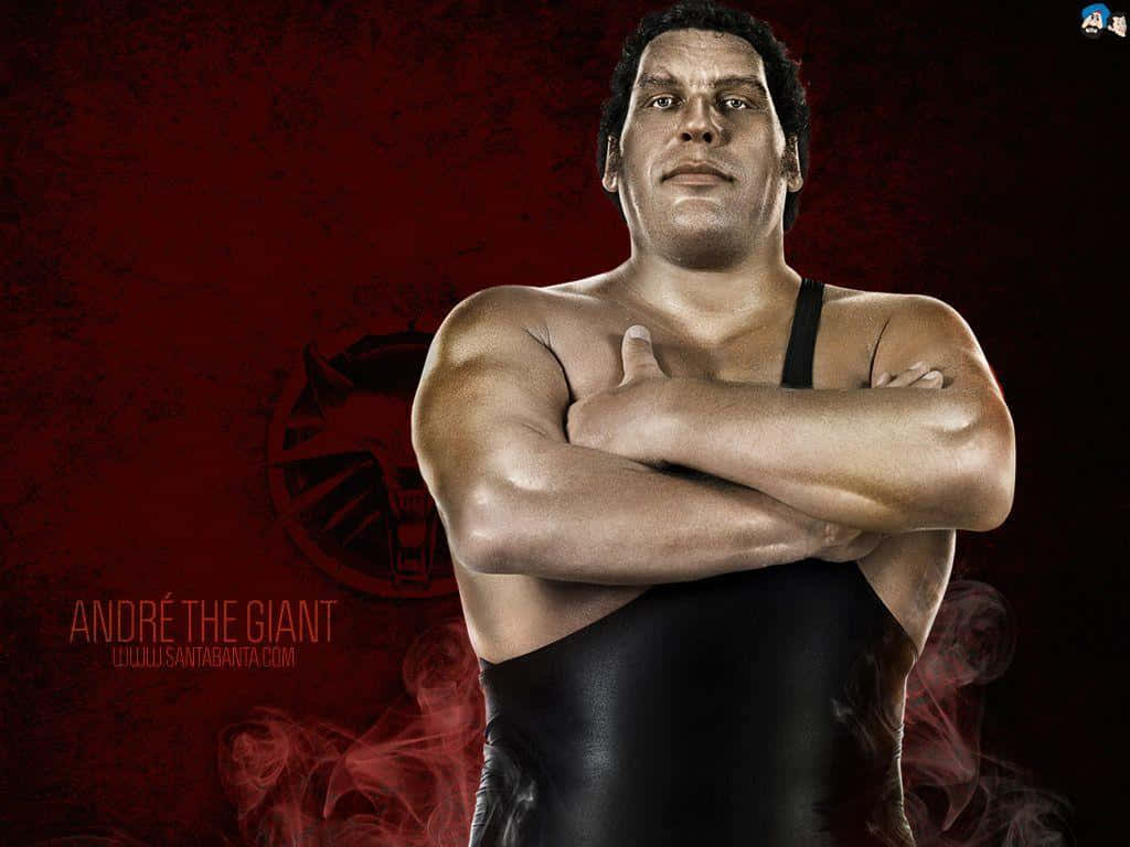 Andre The Giant Professional Wrestler Wallpaper