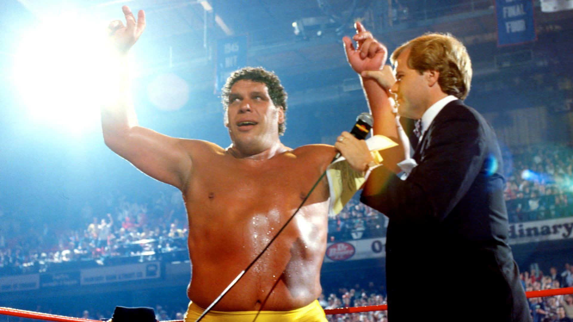 Andre The Giant Wrestlemania 2 Winner Picture