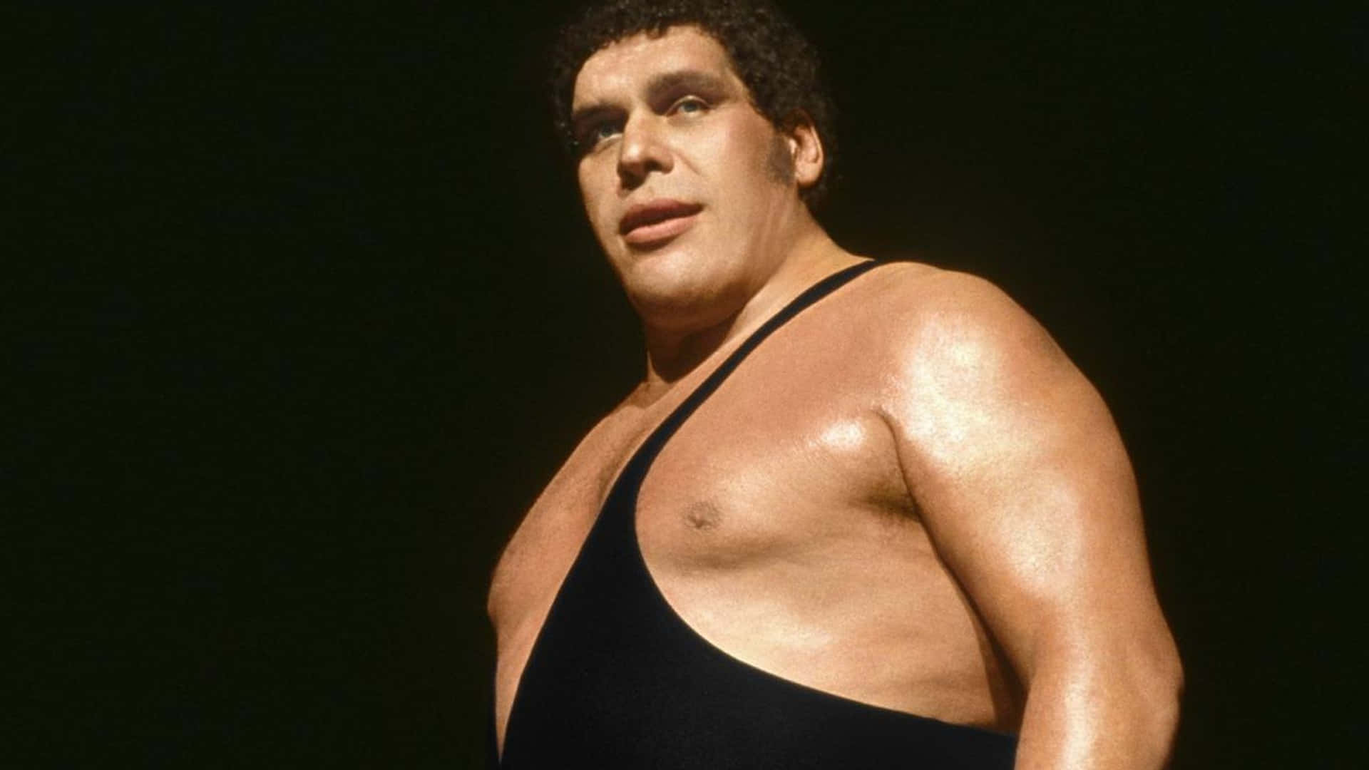 Andre The Giant Wrestling Superstar Wallpaper
