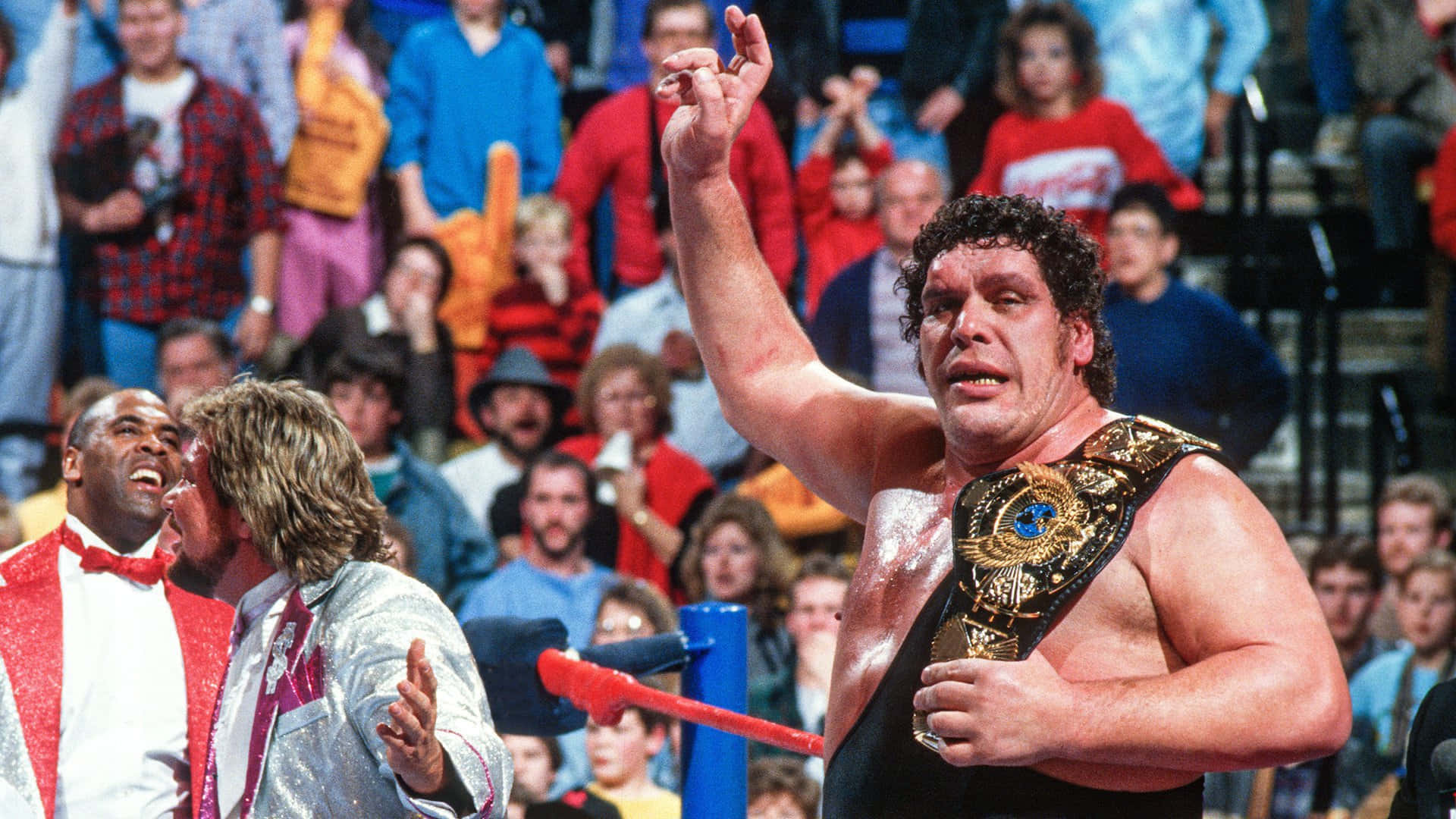 Andre The Giant WWF Heavyweight Champion Wallpaper