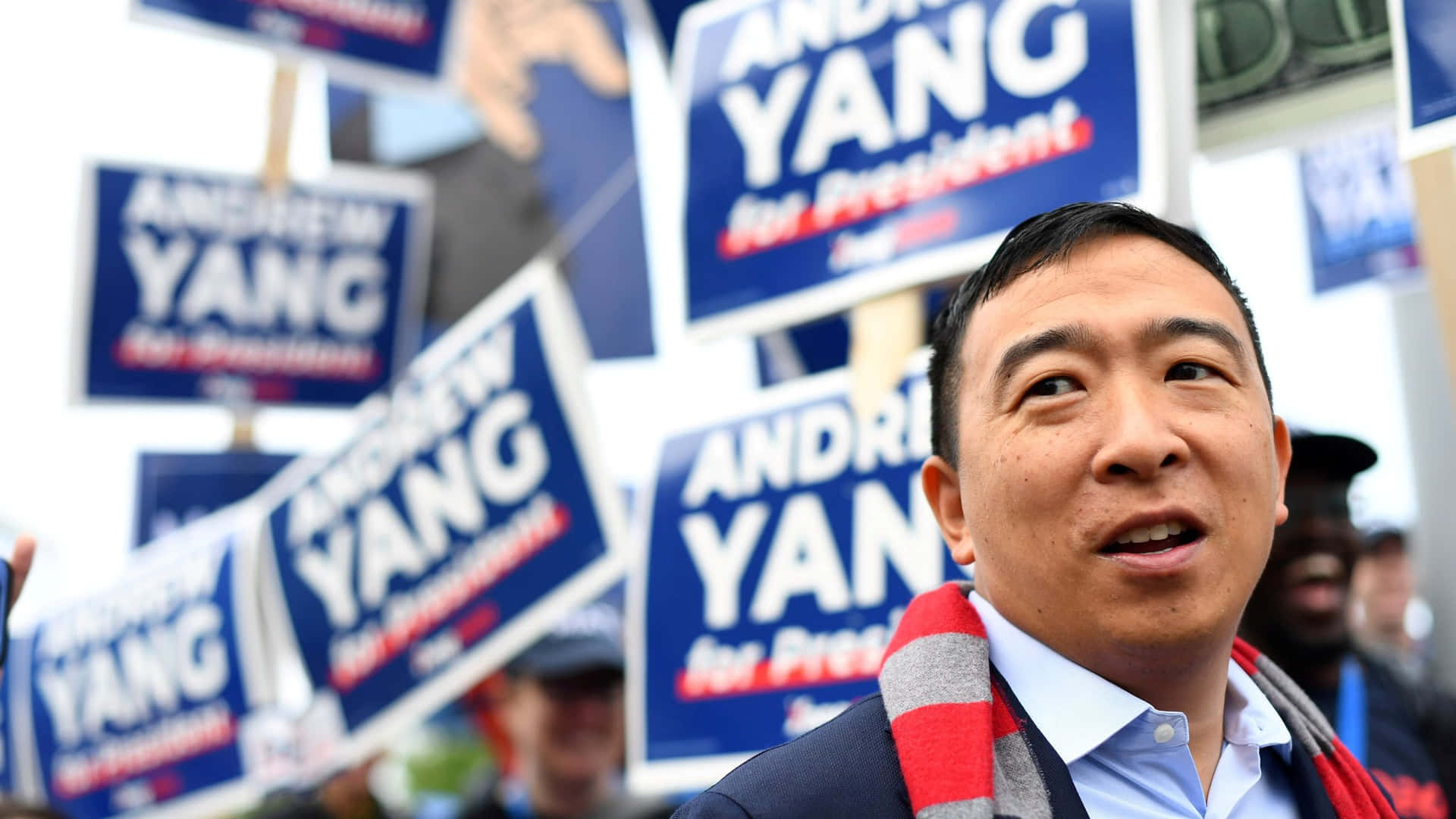 Andrew Yang Supporters Wallpaper