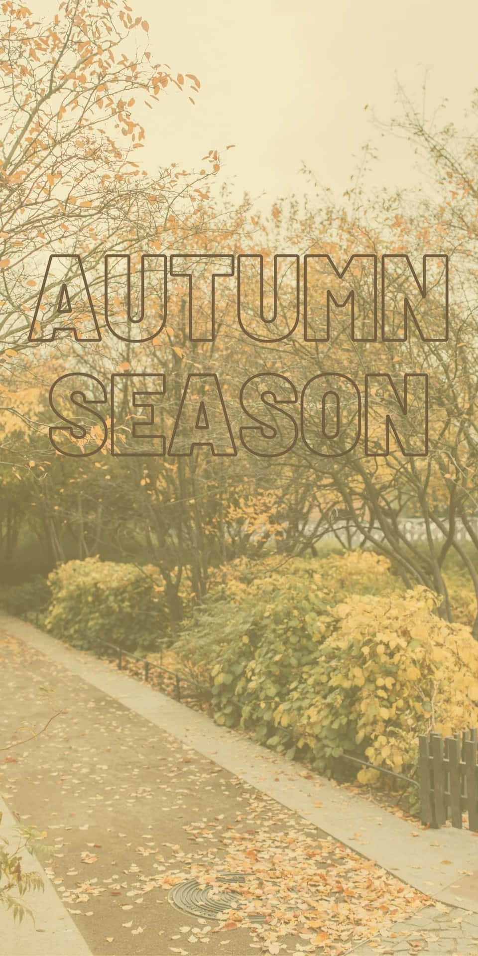 Simple Cozy Android Autumn Background