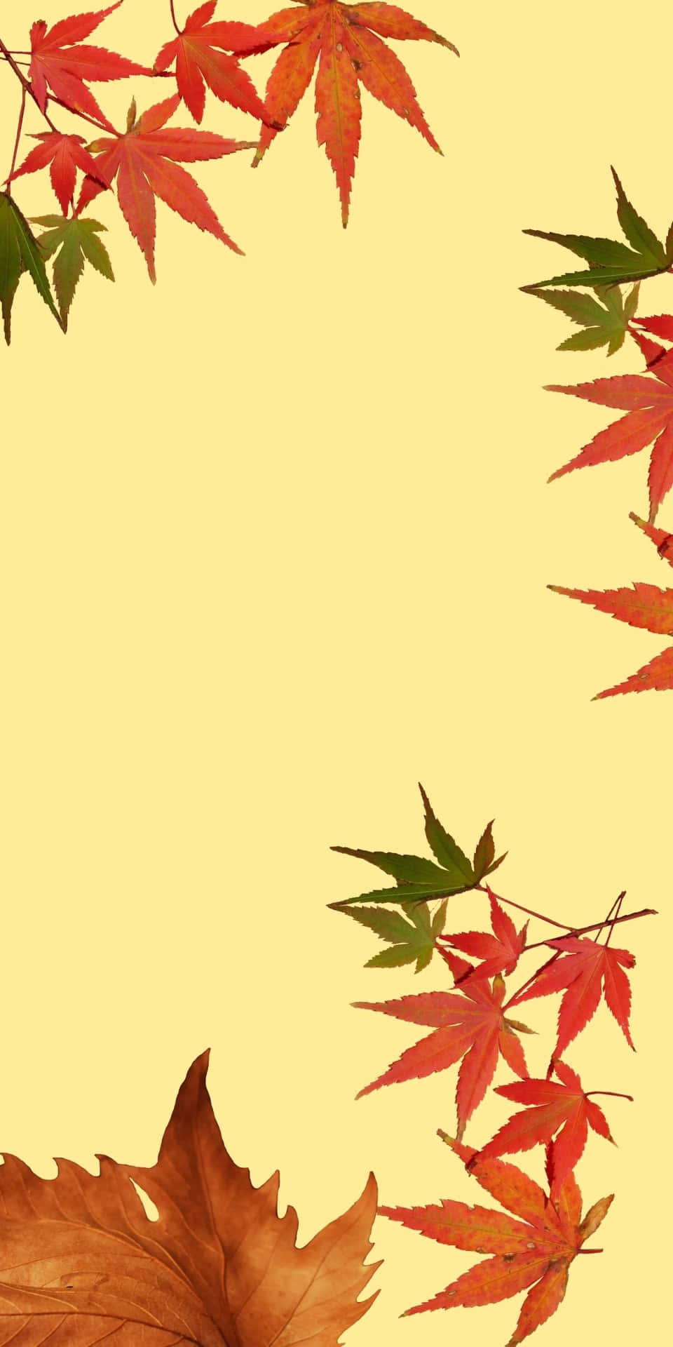 Ahornblätterfür Den Herbsthintergrund Auf Android.