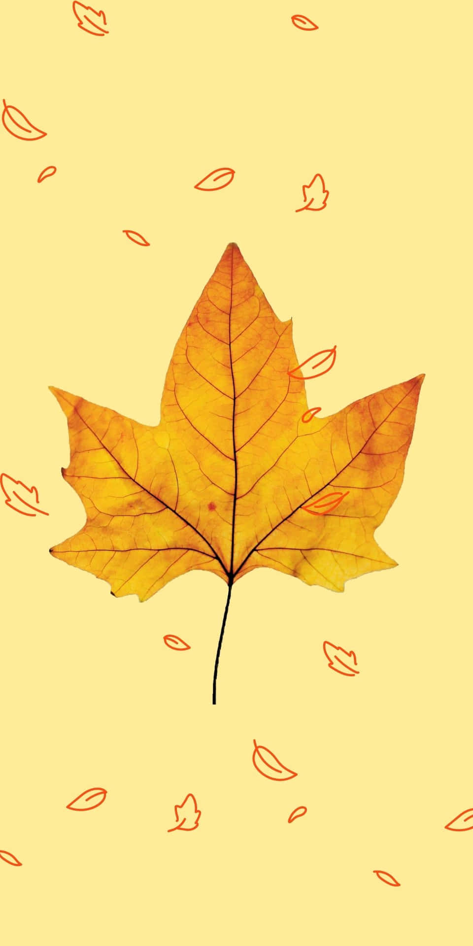 Android Autumn Background Of Maple Leaf
