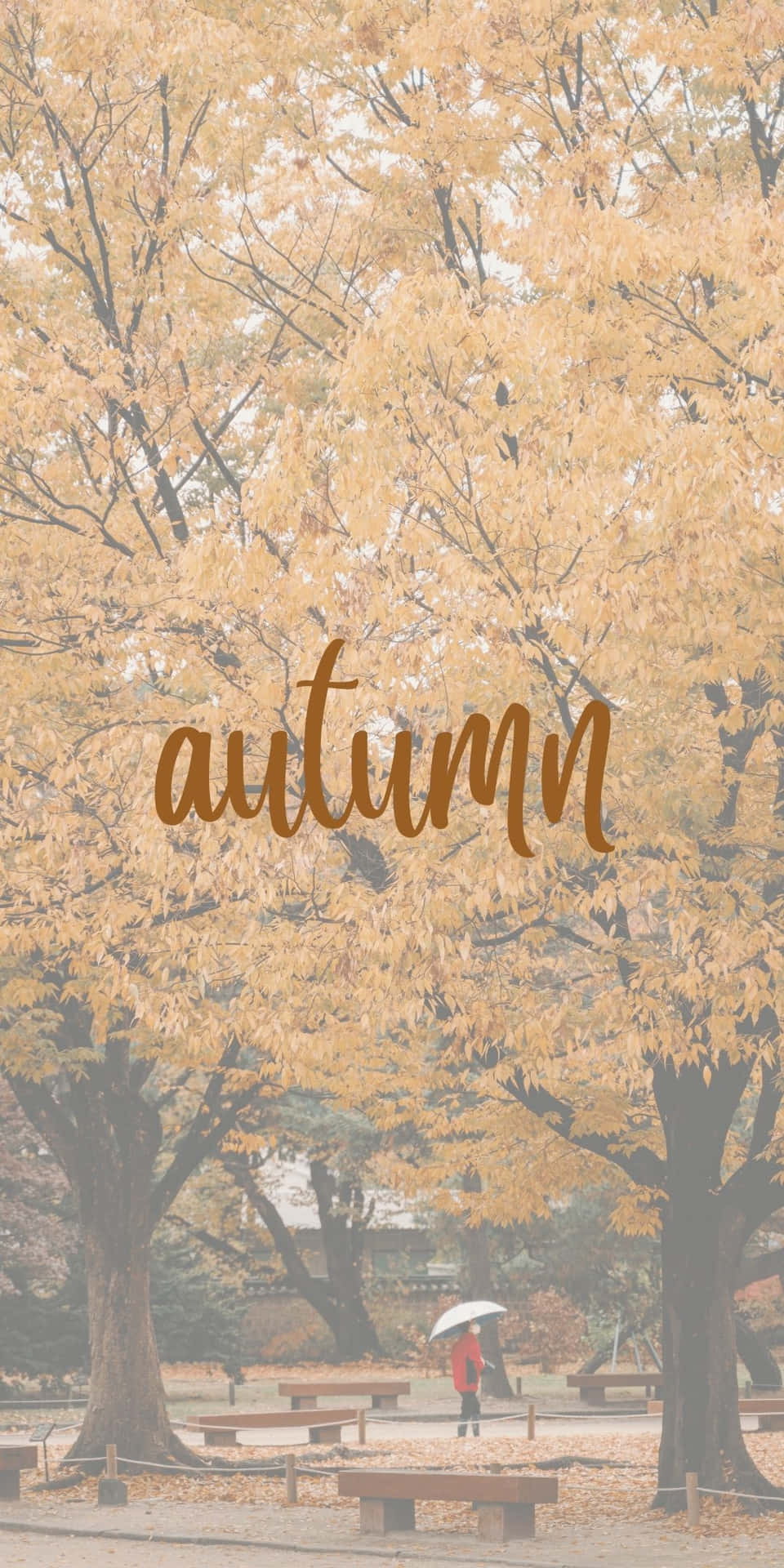 Android Autumn Background Of Orange-colored Trees Background