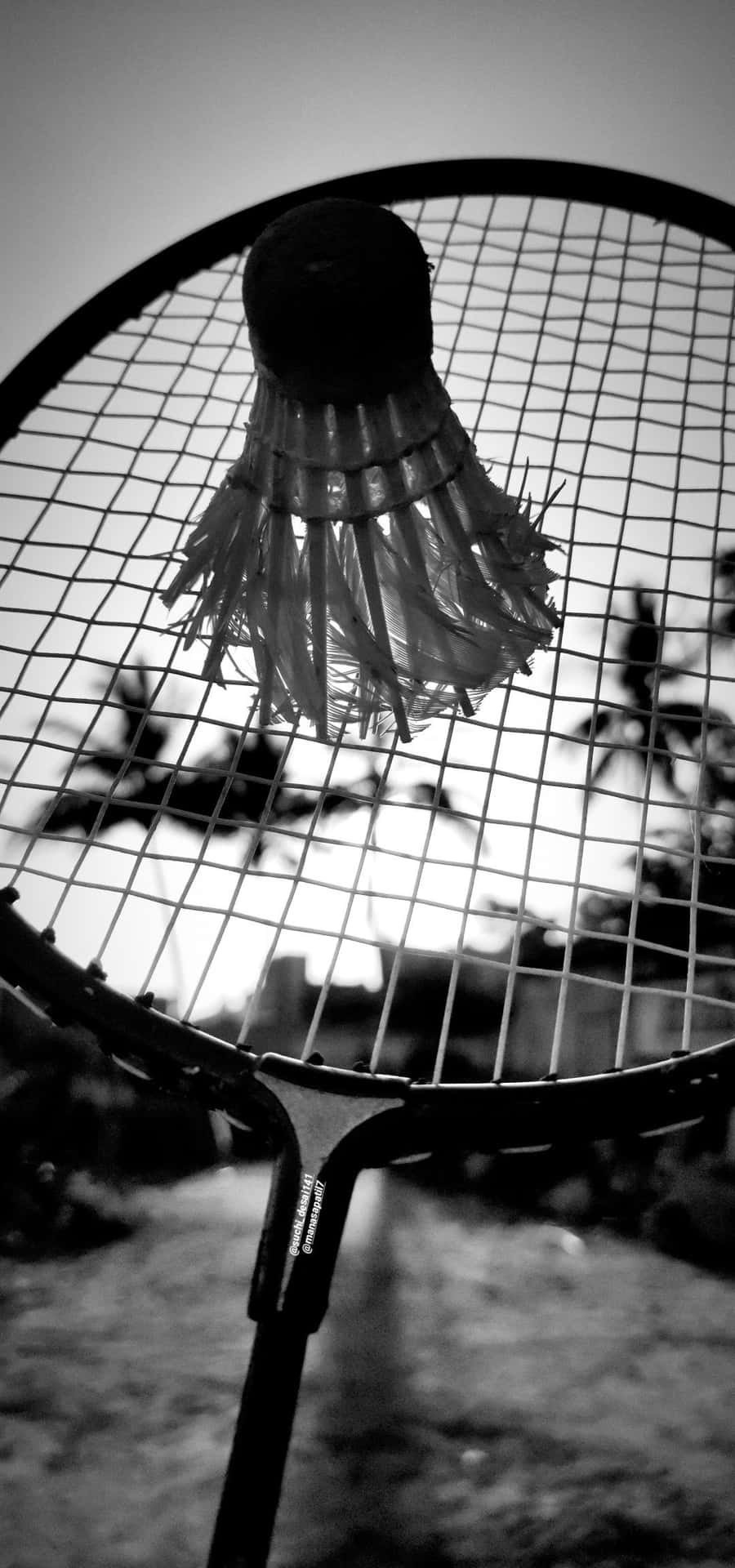 Badminton Racket In Black And White