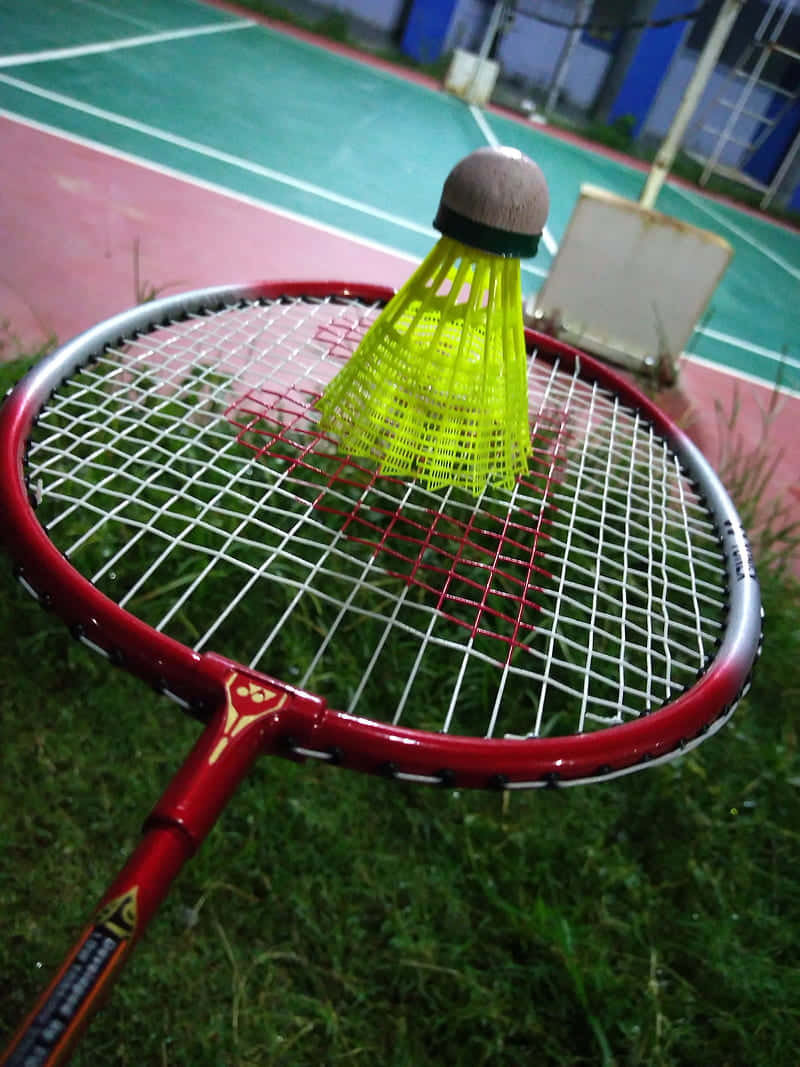 Badminton Racket And Ball